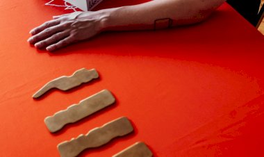 Clara Amaral apresenta um  livro que é uma coreografia que parte da história da sua família