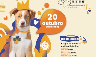 Canil promove encontro de cães adotados e cãominhada