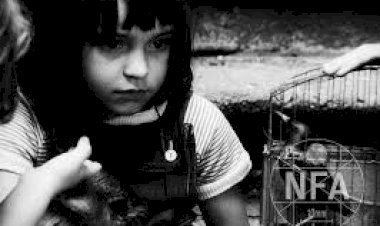 Cinemateca Júnior | Sábados em Família na Barata Salgueiro