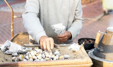 Portimão em contagem decrescente para a 361ª Feira de S. Martinho que promete diversão para todos