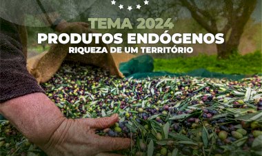 Pinhel | Concurso de Fotografia Objectiva Pinhel 2024