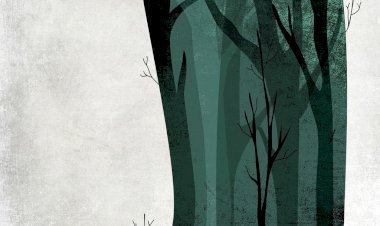 Ilustradora Fatinha Ramos regressa a ‘casa’ com exposição exclusiva para a Capital Portuguesa da Cultura