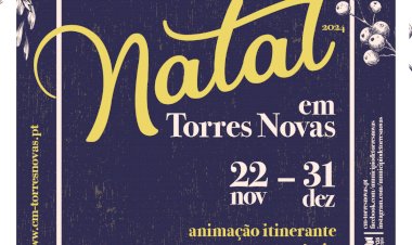 Animação de Natal em Torres Novas