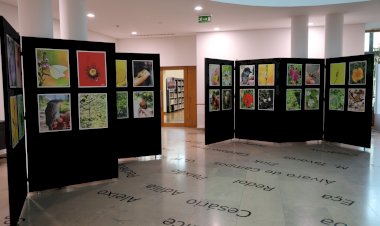 Exposição «Biodiversidade – por terras do Almonda» na Biblioteca Municipal Gustavo Pinto Lopes