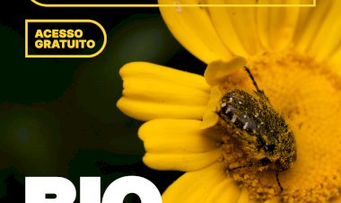 BioBlitz Serralves | 31 Março - 06 Abril