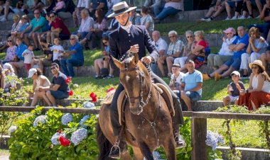 Municipio de Ponte de Lima vai entrar na Associação de Municípios Portugueses do Cavalo