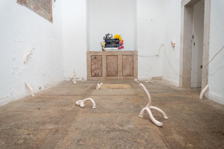 "Sal na Ferida": exposição na Galeria Praça do Mar, Quarteira, até 15 de Maio