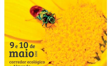 II edição do «BioBlitz - descobre a biodiversidade por terras do Almonda