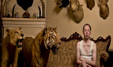 Teatro >  Back to Back Theatre regressam a Lisboa