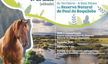 III Festival da Biosfera convida a passeio no Paul do Boquilobo