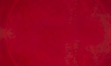 "MODUS OPERANDI”: Loulé recebe exposição de Avelino Sá