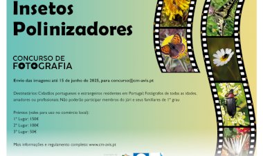 Município de Avis promove concurso de fotografia com o tema “Insectos Polinizadores