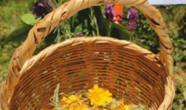 São Brás Acontece...Maio 2025