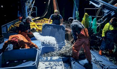 Exposição "Rumo à Pesca" em Avintes