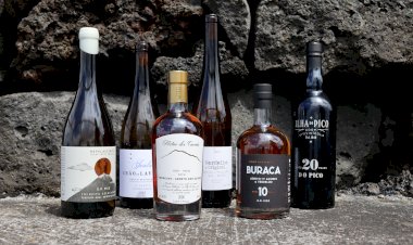 Vinhos do Pico Premiados No Maior Concurso Enológico do País