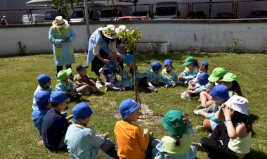 Hortas Biológicas Pedagógicas promovem educação sustentável nas Escolas