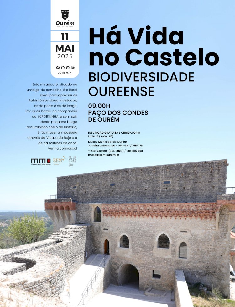 Comemorações do Dia Internacional dos Museus
