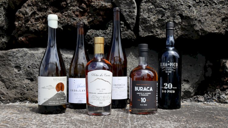 Vinhos do Pico Premiados No Maior Concurso Enológico do País