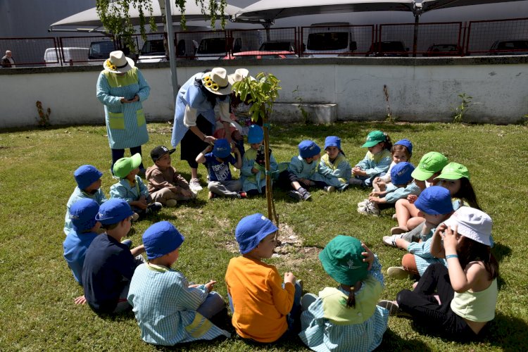 Hortas Biológicas Pedagógicas promovem educação sustentável nas Escolas