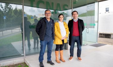 Investigadores da UC utilizam IA para estudo sobre o cérebro