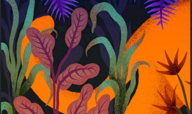 Ela Jaguar editam álbum de estreia homónimo e lançam novo single “Kru85”