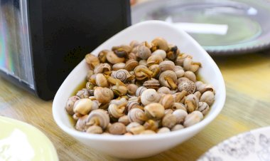 Mês do Caracol em Vendas Novas