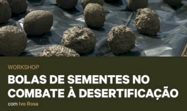 Workshop | Bolas de Sementes no combate à Desertificação
