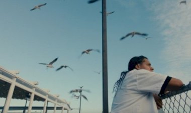 FEST 2025 — Cinema que pensa o mundo — entre o íntimo e o político, entre o riso e a resistência