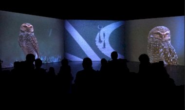 Porto Summer School on Art & Cinema