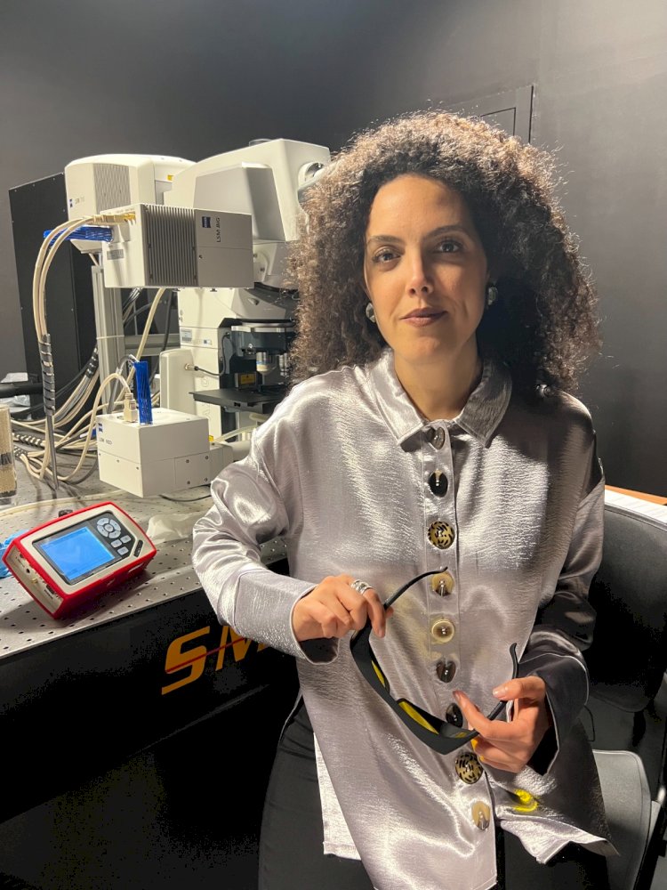 Financiamento promove estudo sobre interacção dos sistemas vascular e imunológico em recém-nascidos  