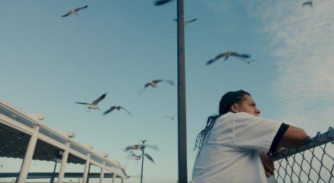 FEST 2025 — Cinema que pensa o mundo — entre o íntimo e o político, entre o riso e a resistência