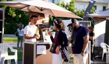 Tondela Brancos com recorde de participantes