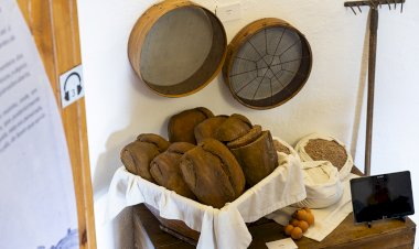 Julho no Museu da Amadora! Conheça a programação