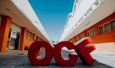 Oliva Market realiza-se sábado com entrada gratuita