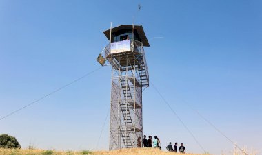 Voluntariado Jovem - Equipa de Vigilância Florestal 2025 em Montemor-o-Novo