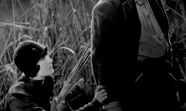 Um novo Cineclube que une duas regiões, a Gândara e a Bairrada