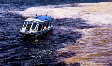 Museu de Portimão apresenta exposição fotográfica “Barcos do Mundo”, de Miguel Louro
