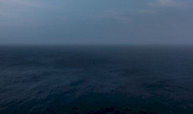 Sessão especial em Faro de "Contos do esquecimento" com revelação do estudo sobre o Vale da Gafaria