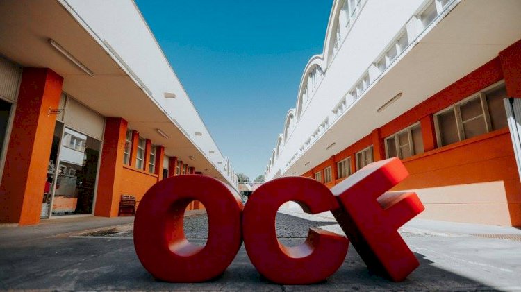 Oliva Market realiza-se sábado com entrada gratuita