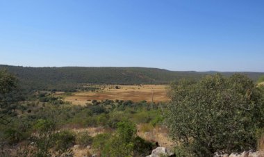 Período de discussão pública para novas zonas protegidas na Nave do Barão e Gruta de Vale Telheiro