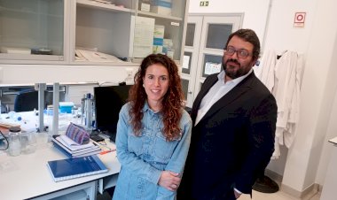 Cientistas da Universidade de Coimbra identificam mecanismo molecular associado a doença neurodegenerativa rara