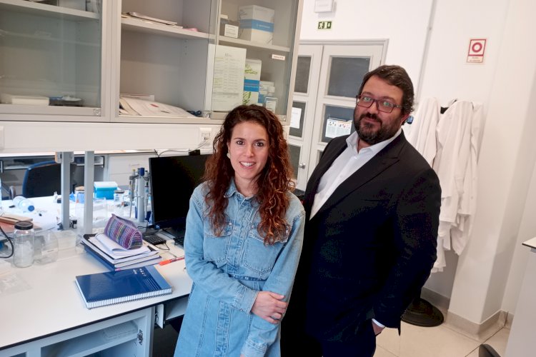Cientistas da Universidade de Coimbra identificam mecanismo molecular associado a doença neurodegenerativa rara
