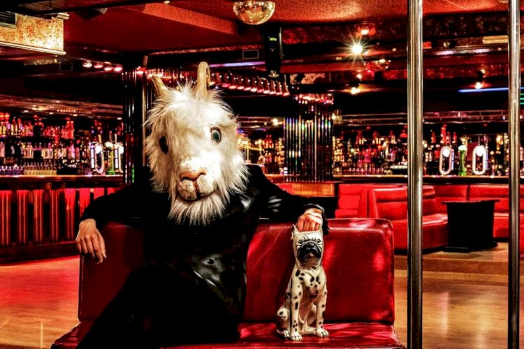 Palmilha Dentada apresentam ciclo de café-teatro no Bar do Teatro Nacional São João