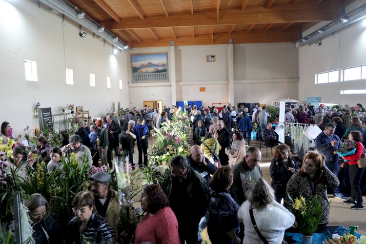 Cantanhede acolhe 7.ª Exposição de Orquídeas no próximo fim de semana